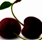 Cirese Negre