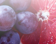 Fructe
