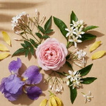 Note Floare Nobile