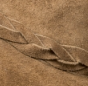 Piele Intoarsa