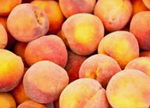 Piersica