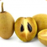 Sapodila